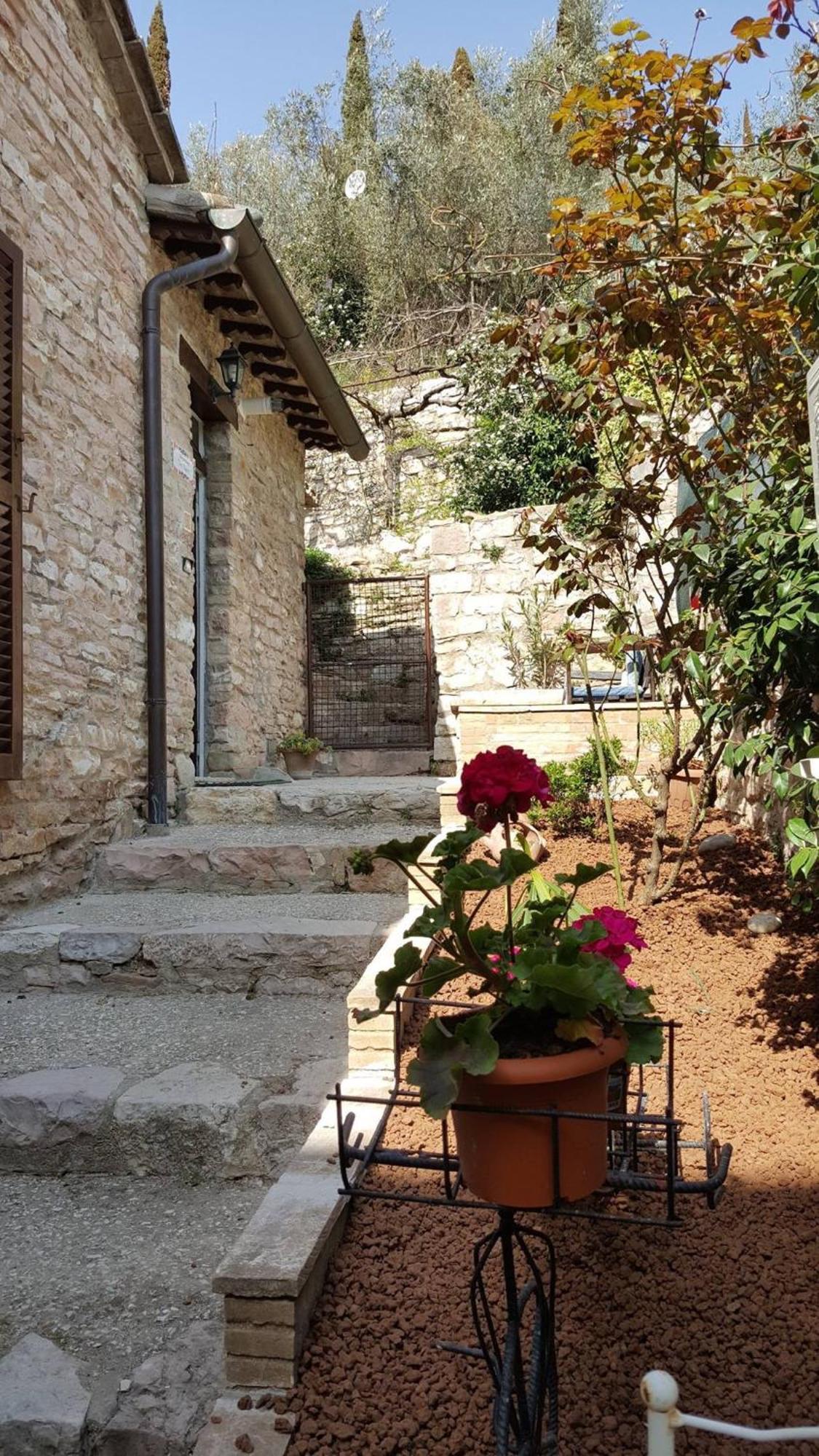 Apartments Aurora Delle Rose Assisi Exterior photo